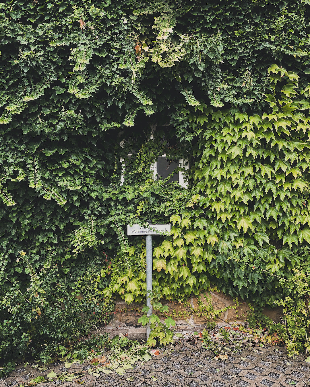 Ein von Pflanzen zugewuchertes Haus in Bielefeld Bethel