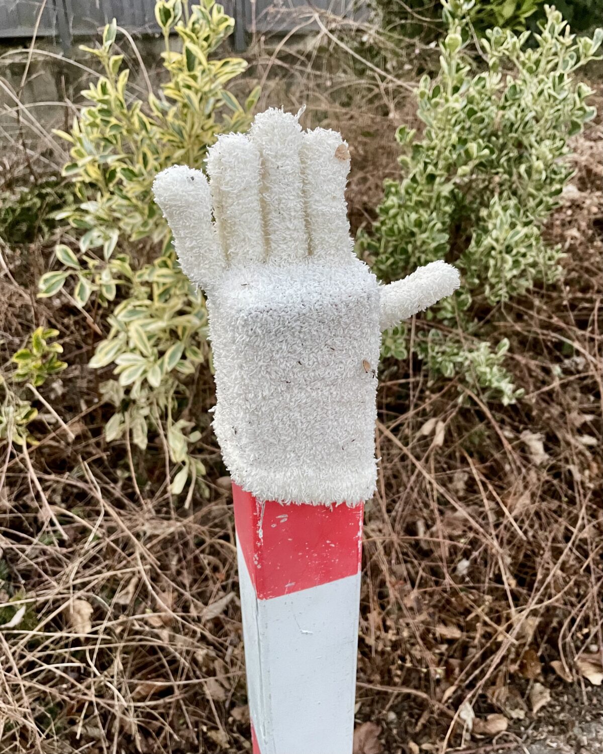 Lost Glove Love
