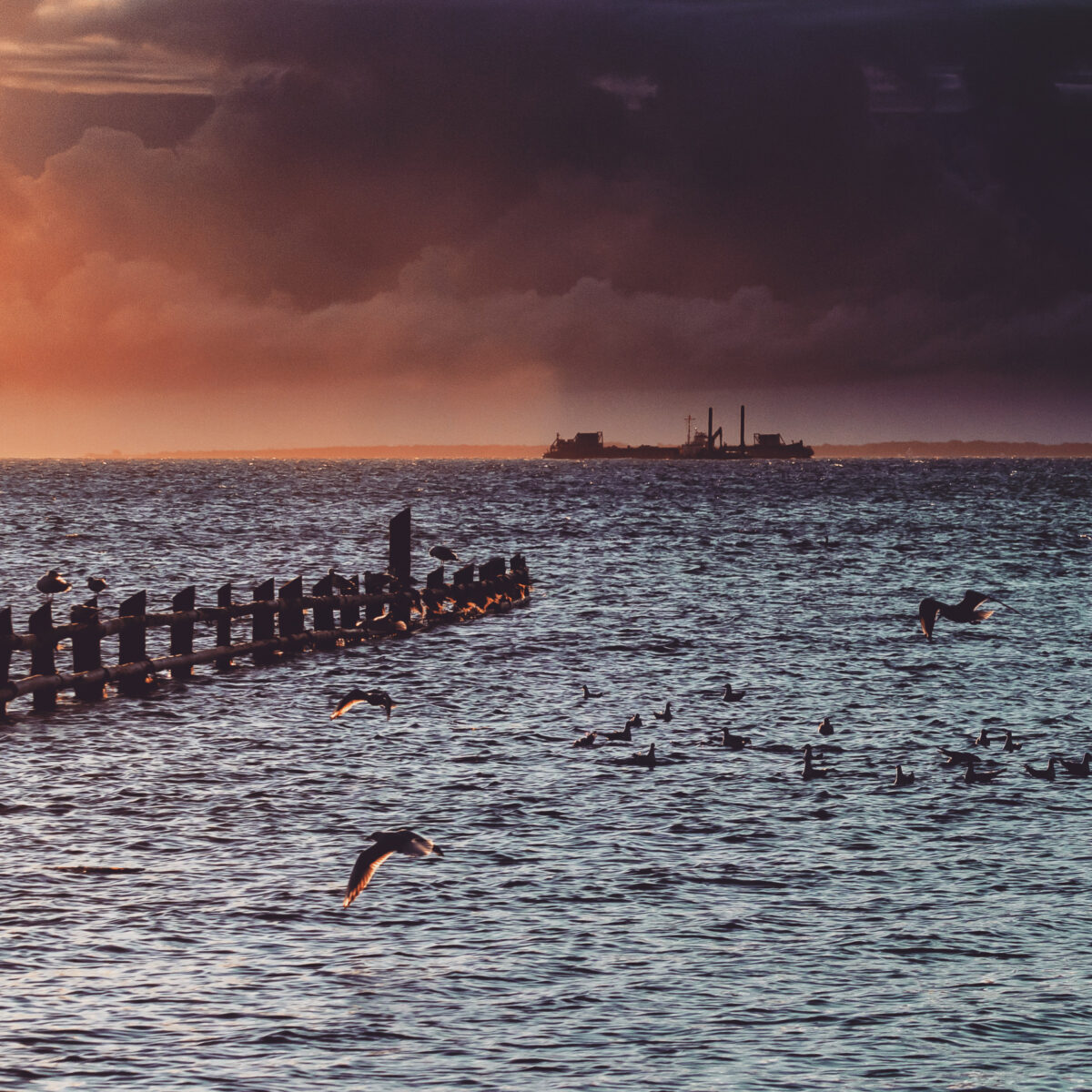 Mehr Meer