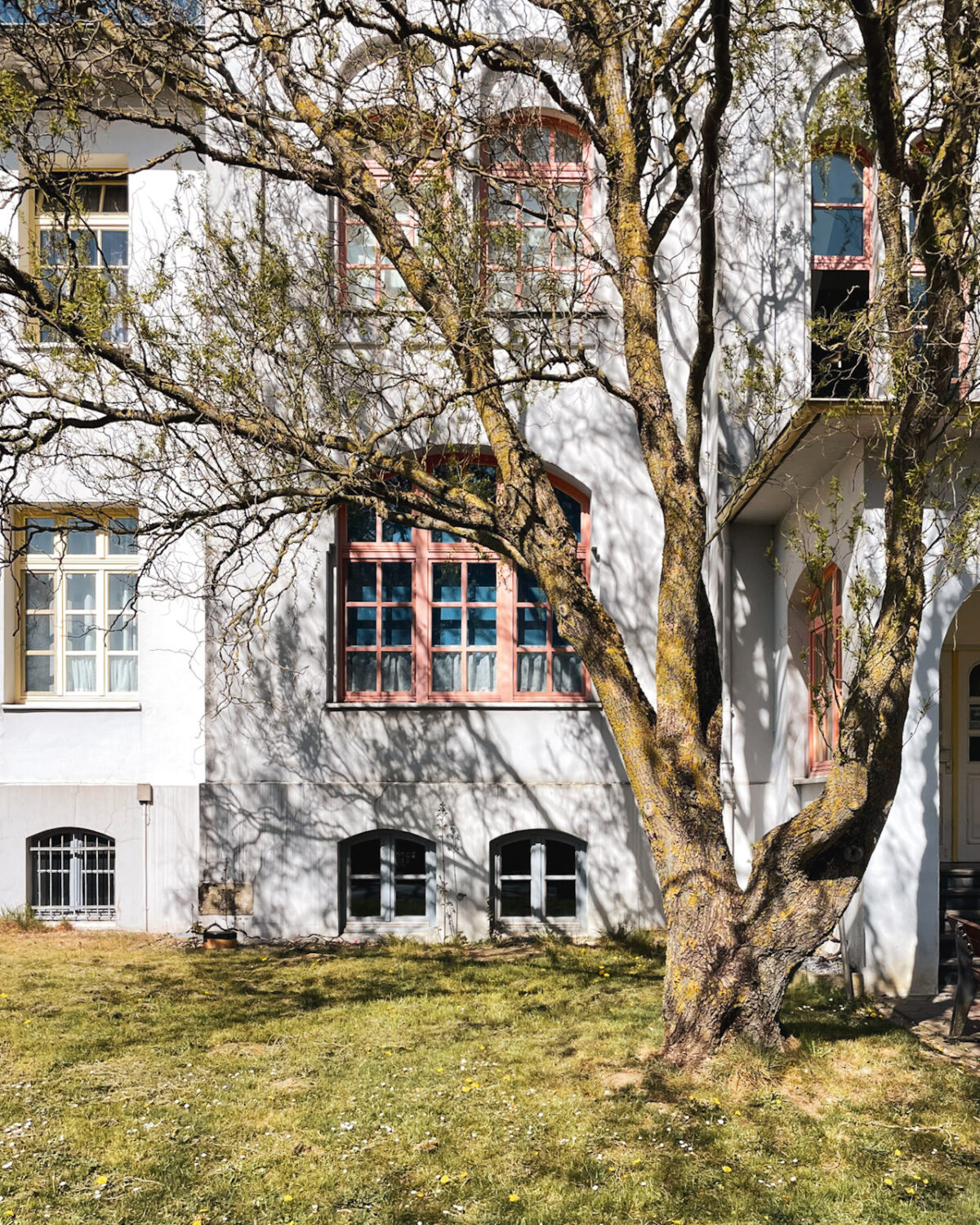 Grüner als Grau