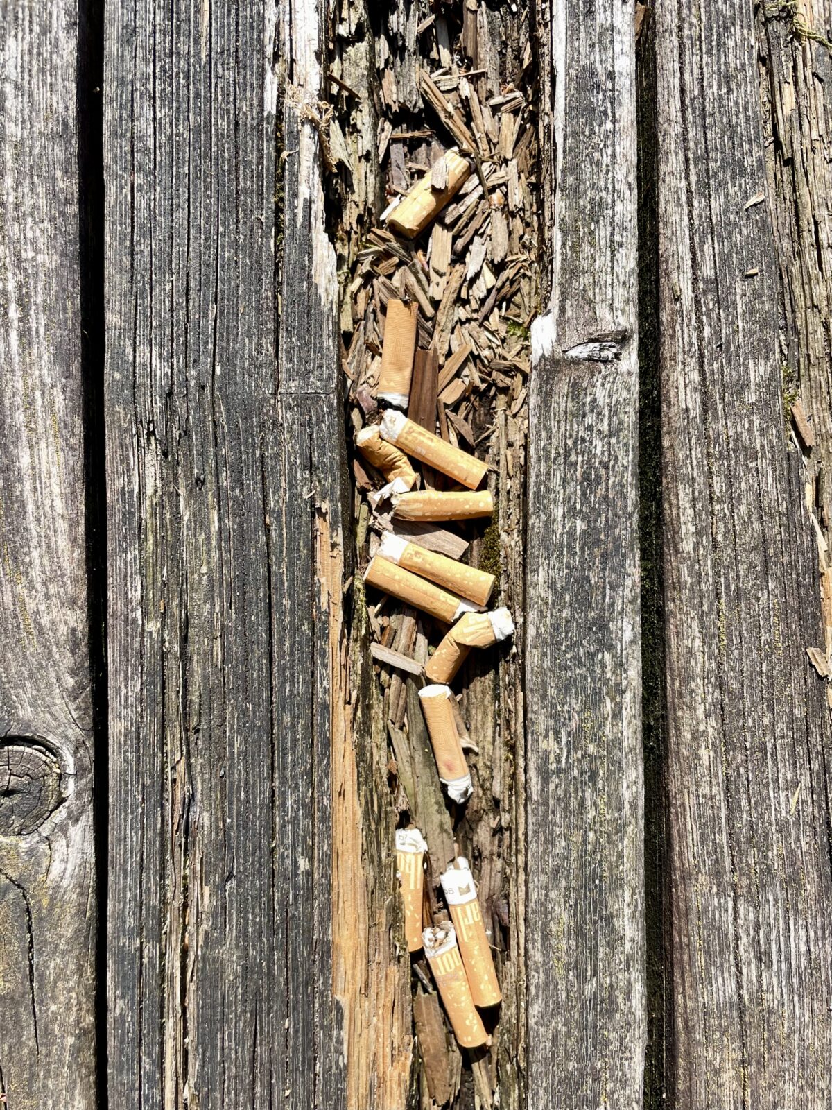 In einem Spalt im Holztisch wurden Zigarettenstummel gesammelt.