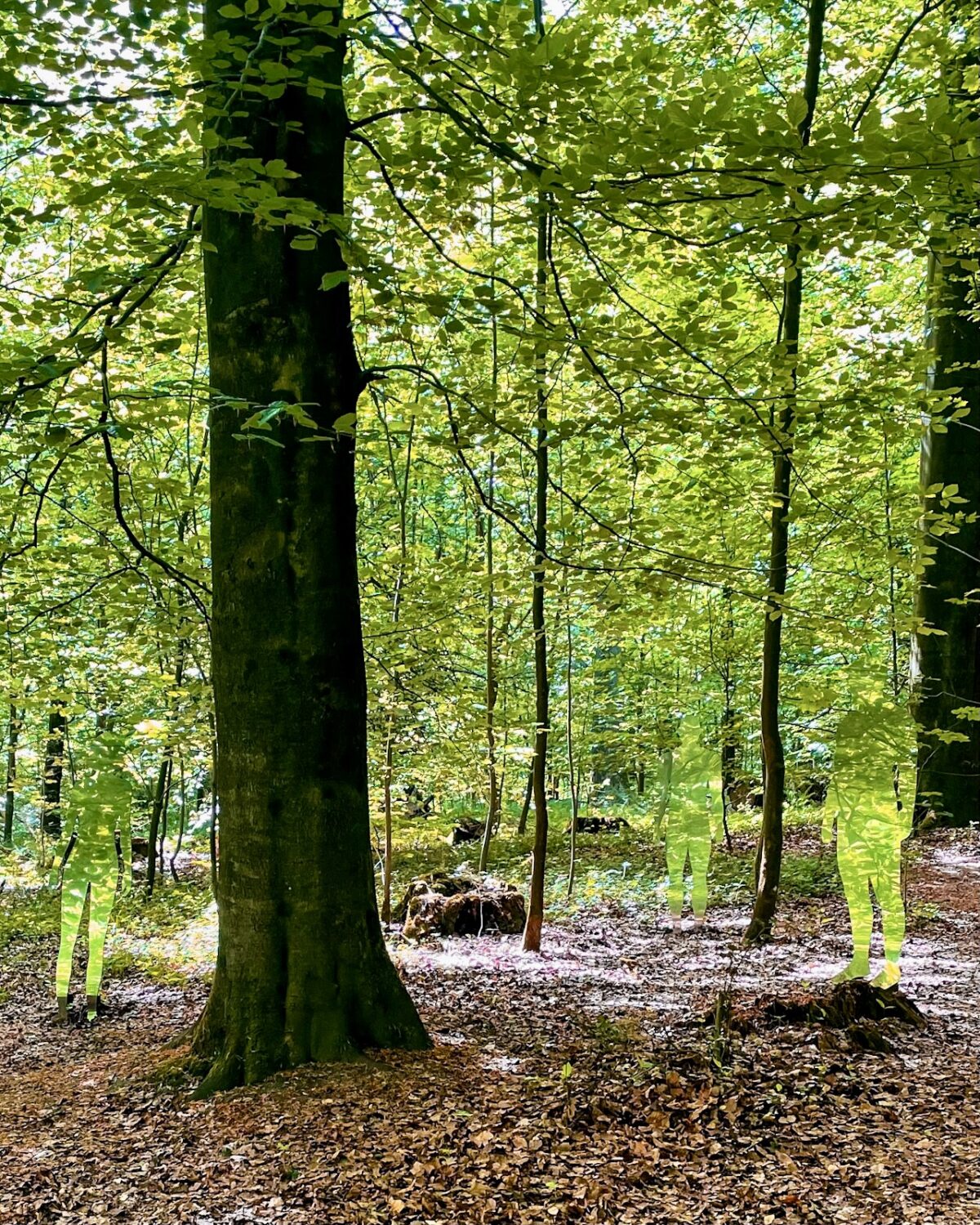 Eine Kunstinstallation im Wald. Verspiegelte Figuren in Menschenform reflektieren das Grün der Bäume, was sie vor den Bäumen schlecht erkennbar macht.