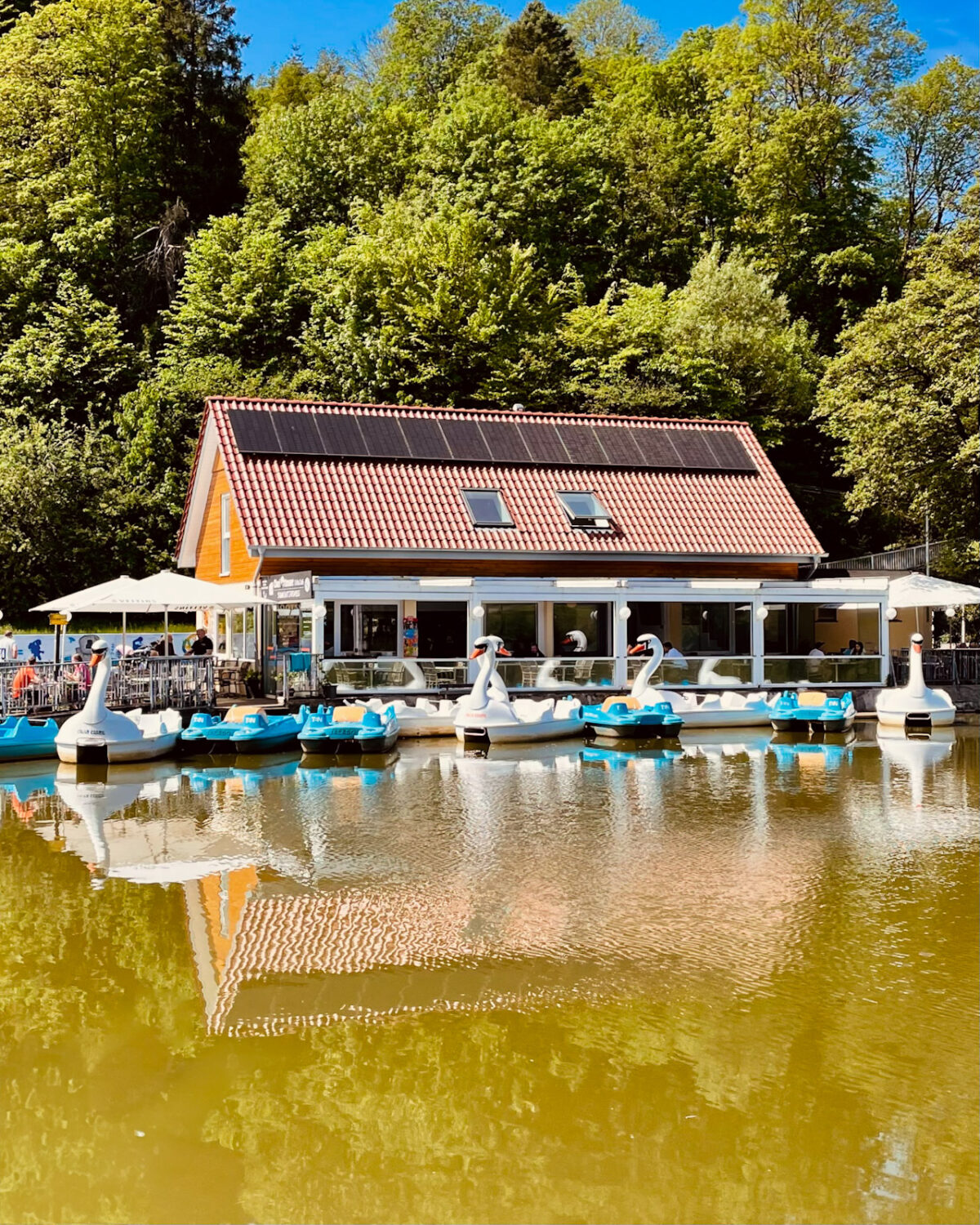 Brutzeit