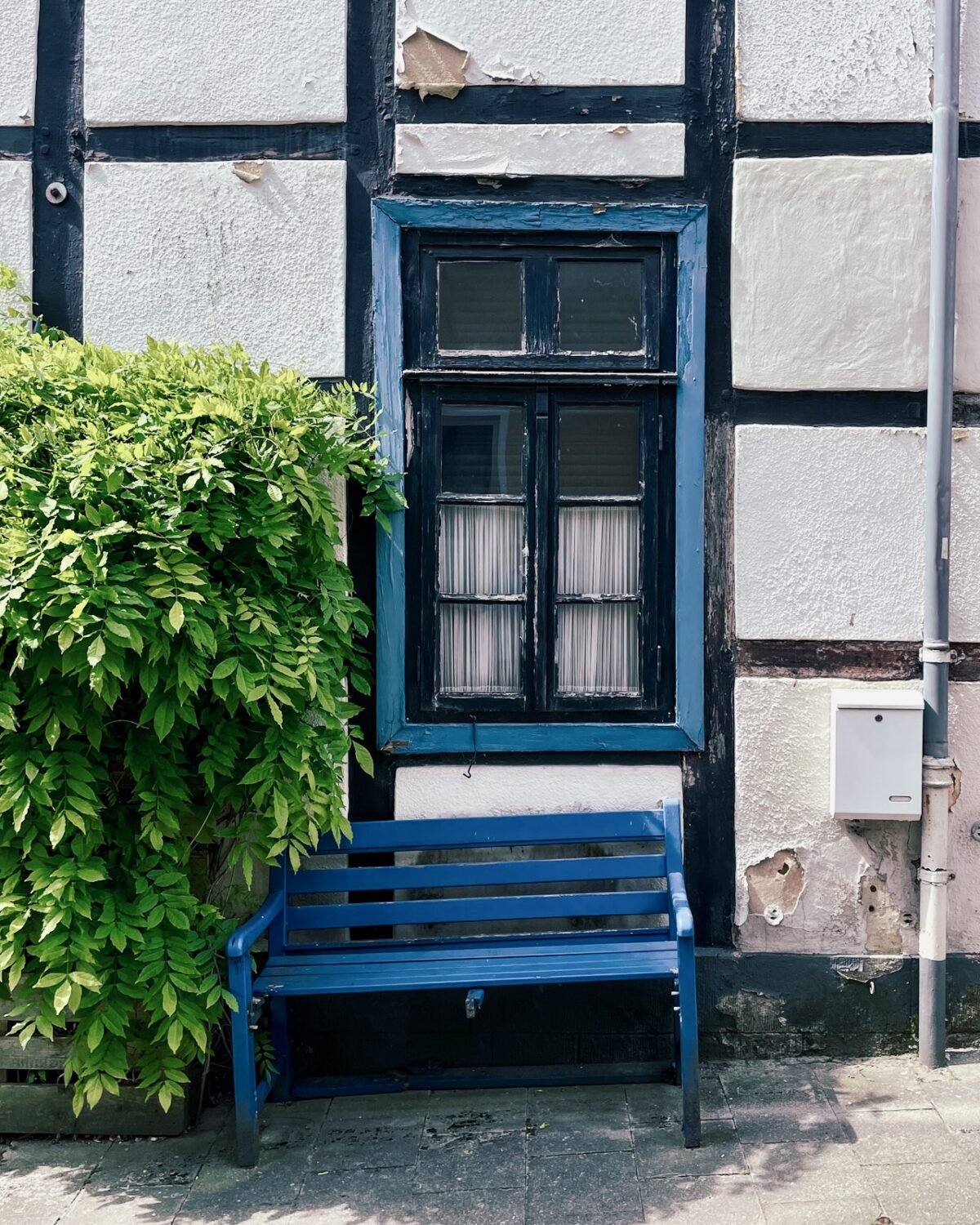 Blues