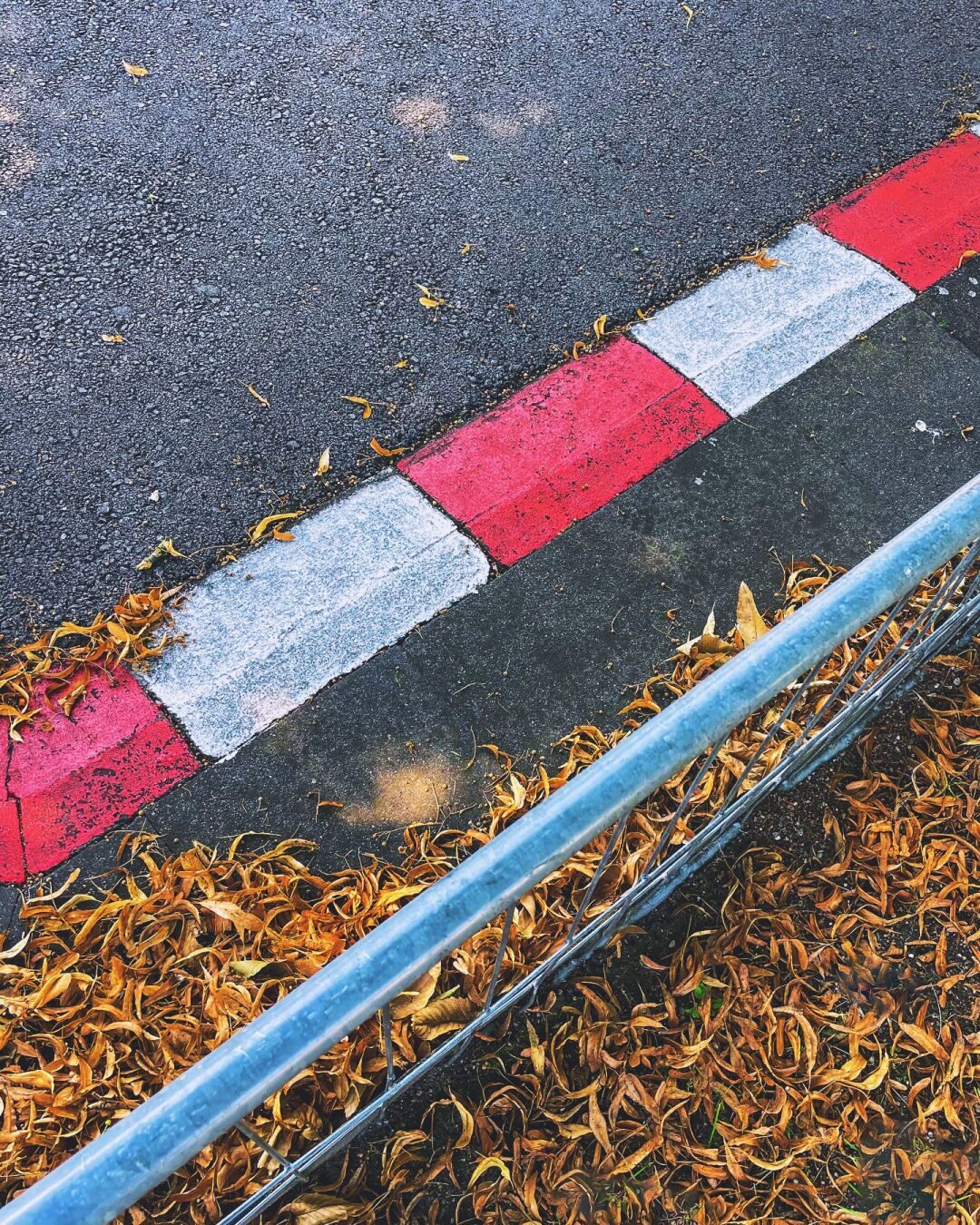 Abgefallenes Laub auf einer Modelautostrecke. Man sieht etwas Asphalt und die Rot Weiße Abgrenzung der Strecke.