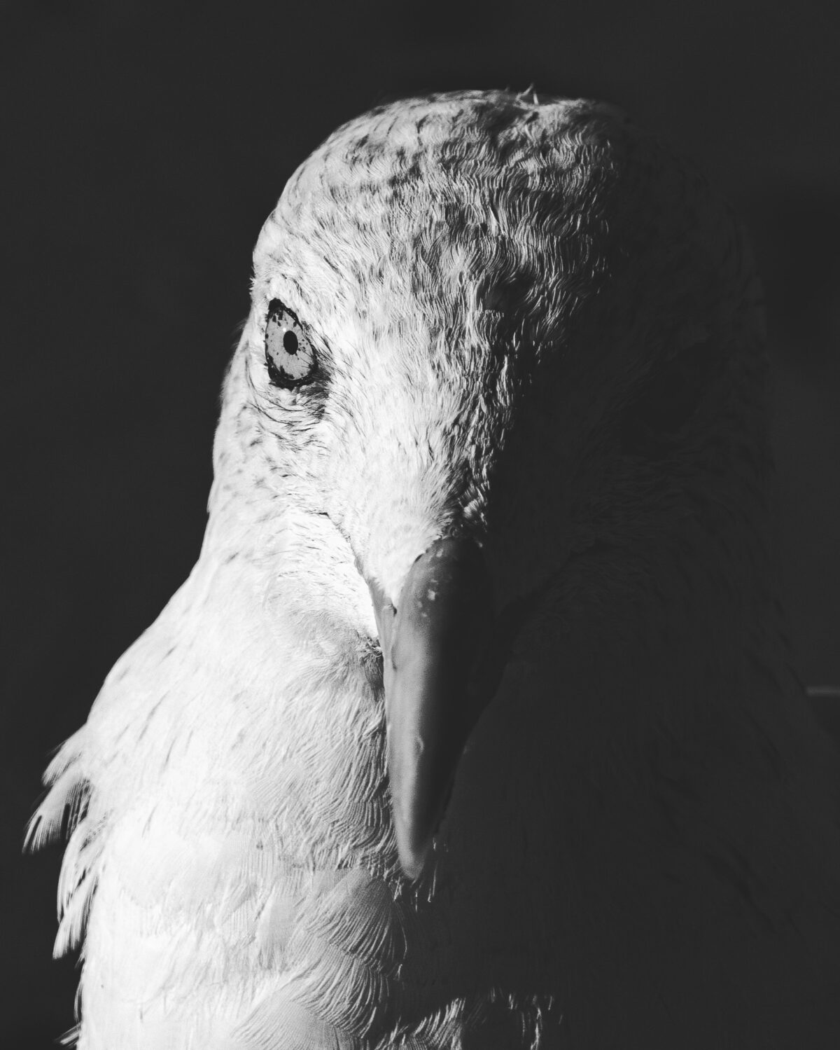 Hello. Is it me you’re looking for?