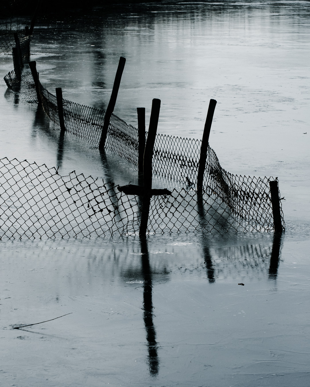 Ein Maschendrahtzaun steht im gefrorenen Uferwasser eines Baggersees.