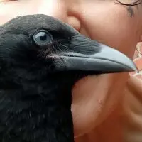 Kati-Katarina🖤AndFriends